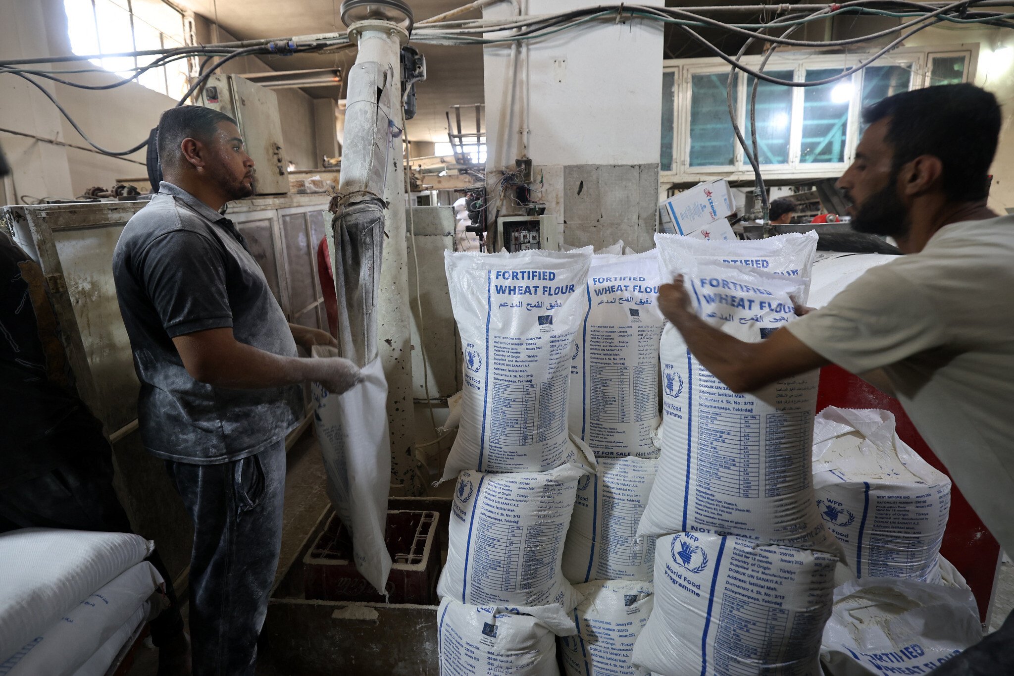 NextImg:After delays, Palestinians say first food aid beginning to be distributed in Gaza