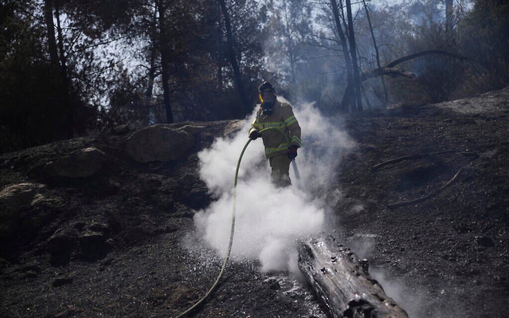 An Israeli firefighter works to extinguish a wildfire in Latrun, outside Jerusalem, May 1, 2025. (AP/Ohad Zwigenberg)