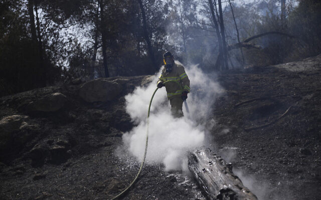 An Israeli firefighter works to extinguish a wildfire in Latrun, outside Jerusalem, May 1, 2025. (AP/Ohad Zwigenberg)