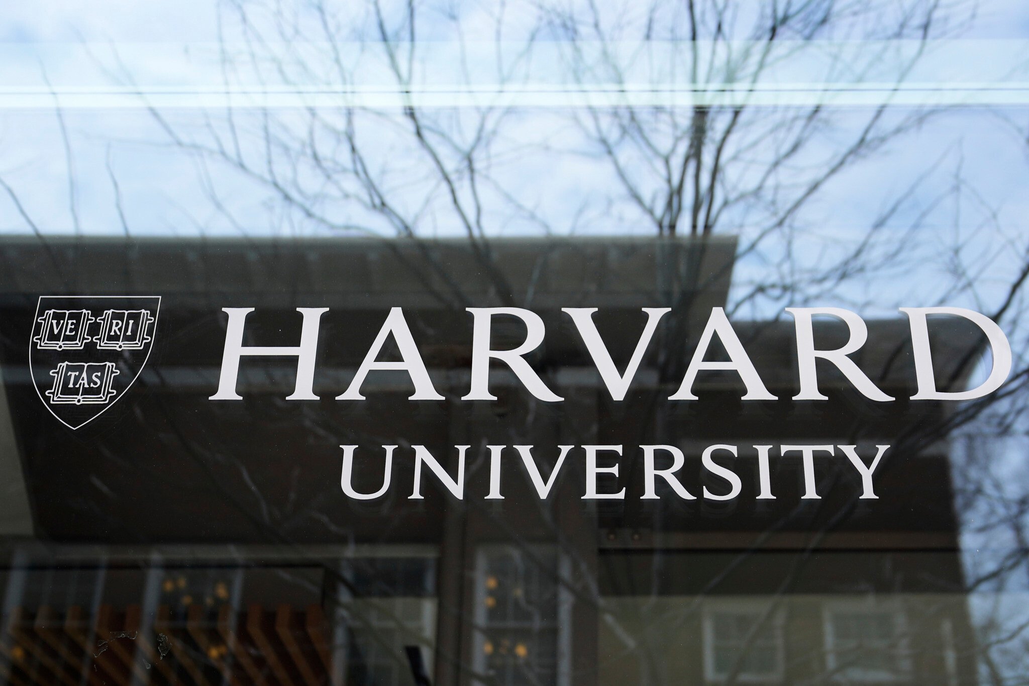 NextImg:Judge temporarily halts Trump block on foreign students at Harvard after university sues