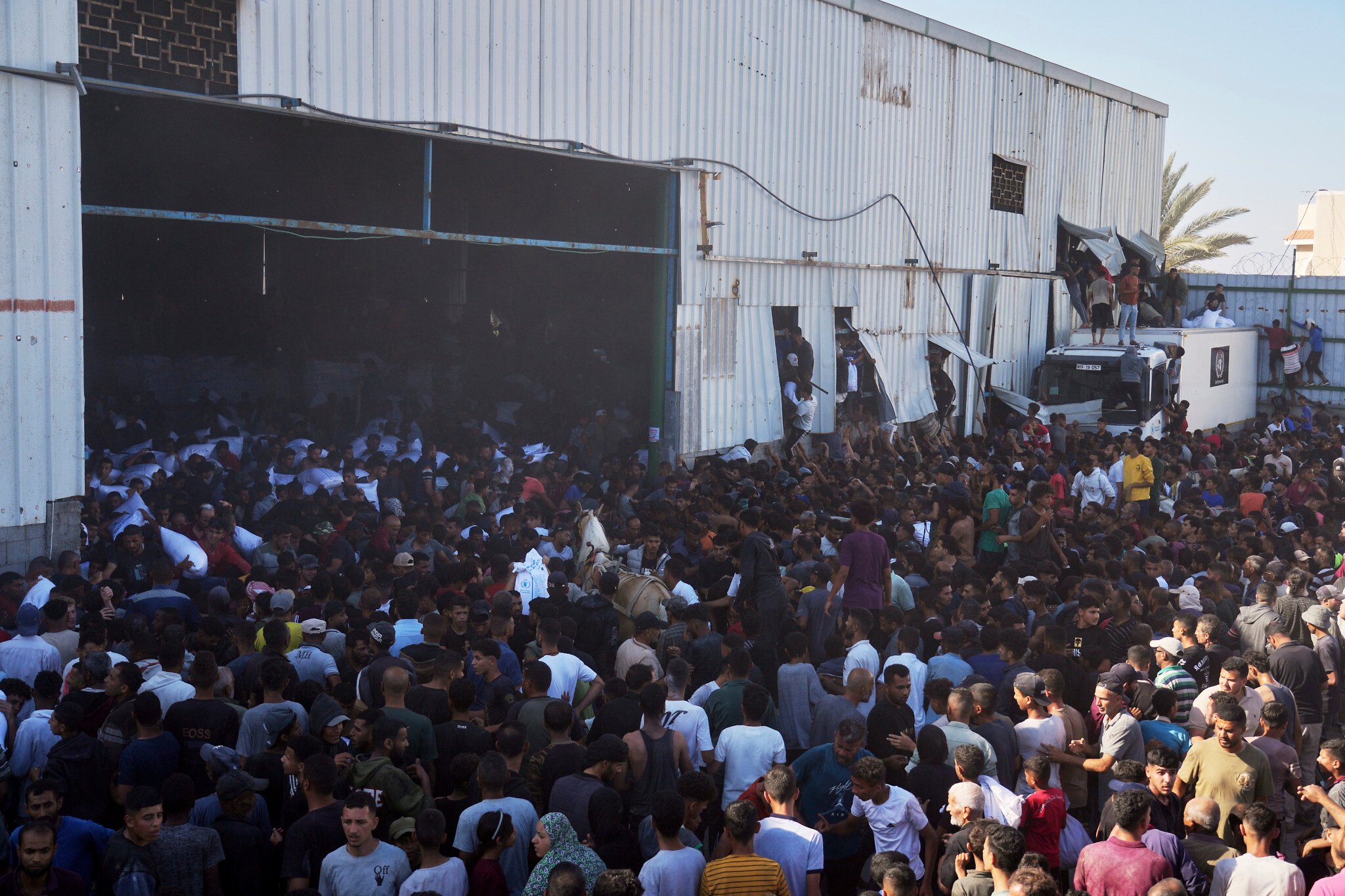 NextImg:Four Palestinians die in storming of Gaza UN food warehouse; IDF was not in area