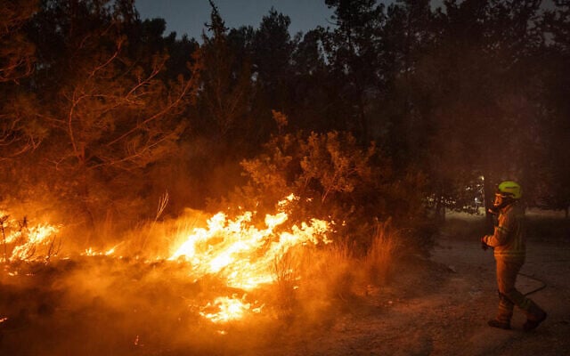 Firefighters try to extinguish a massive wildfire at Canada Park national park on April 30, 2025. (Yonatan Sindel/Flash90) Firefighters try to extinguish a massive wildfire at Canada Park national park on April 30, 2025. (Yonatan Sindel/Flash90)