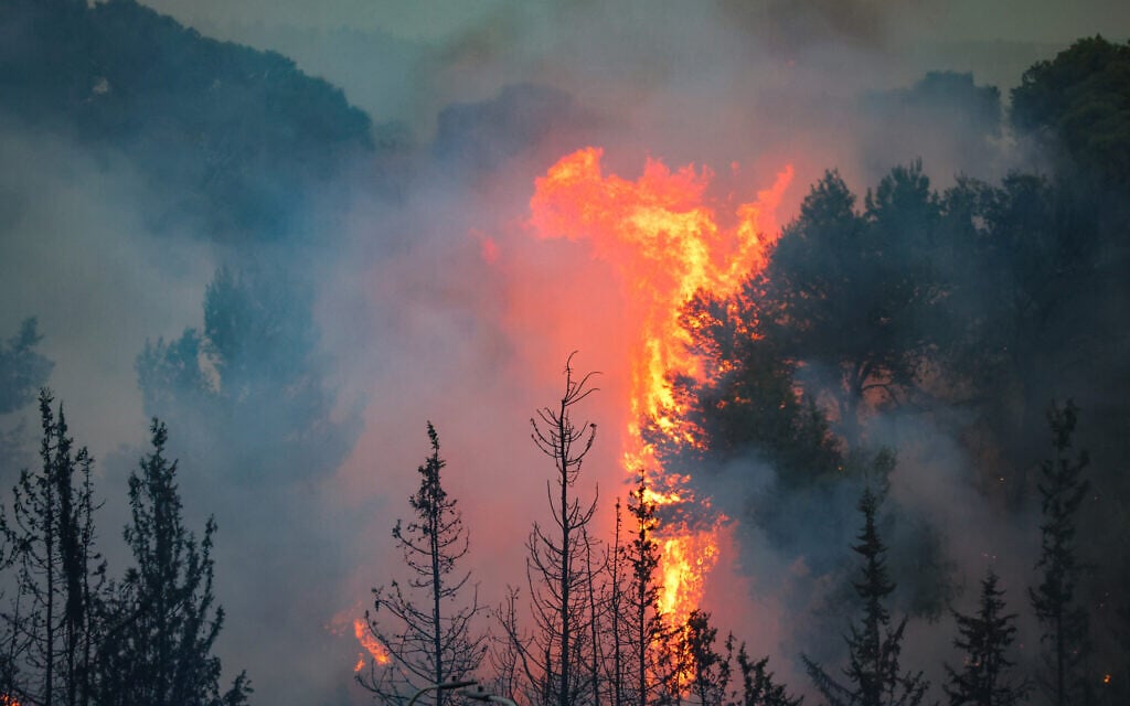 Fire authority needs ‘double the budget’ to cope during mega-fires era — official