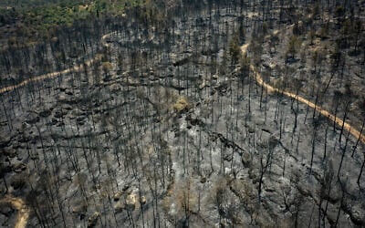Aerial view of damage caused in Canada Park forest, due to massive wildfires raging around the Jerusalem hills area a few days ago, photo taken May 3, 2025. (Edi Israel/Flash90)