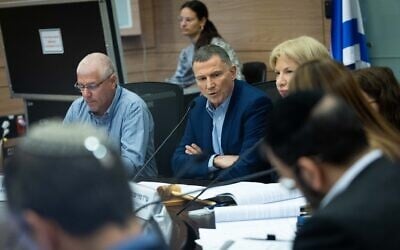 Likud MK Yuli Edelstein chairs a meeting of the Knesset Foreign Affairs and Defense Committee, May 8, 2025. (Yonatan Sindel/Flash90)