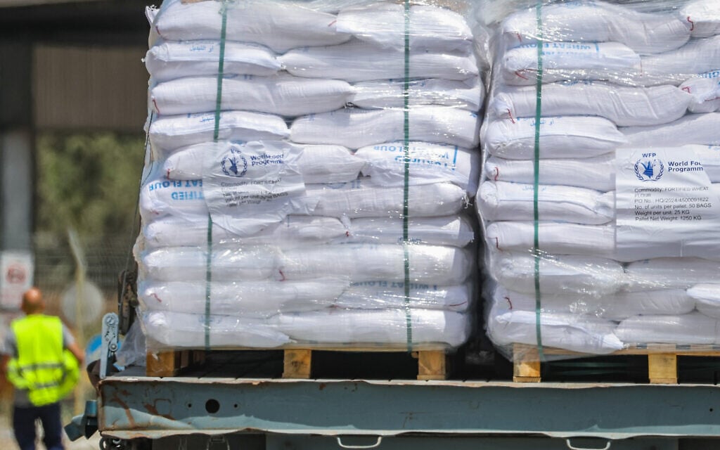 Five trucks of humanitarian aid enter Gaza, says Israel, ending two-month blockade