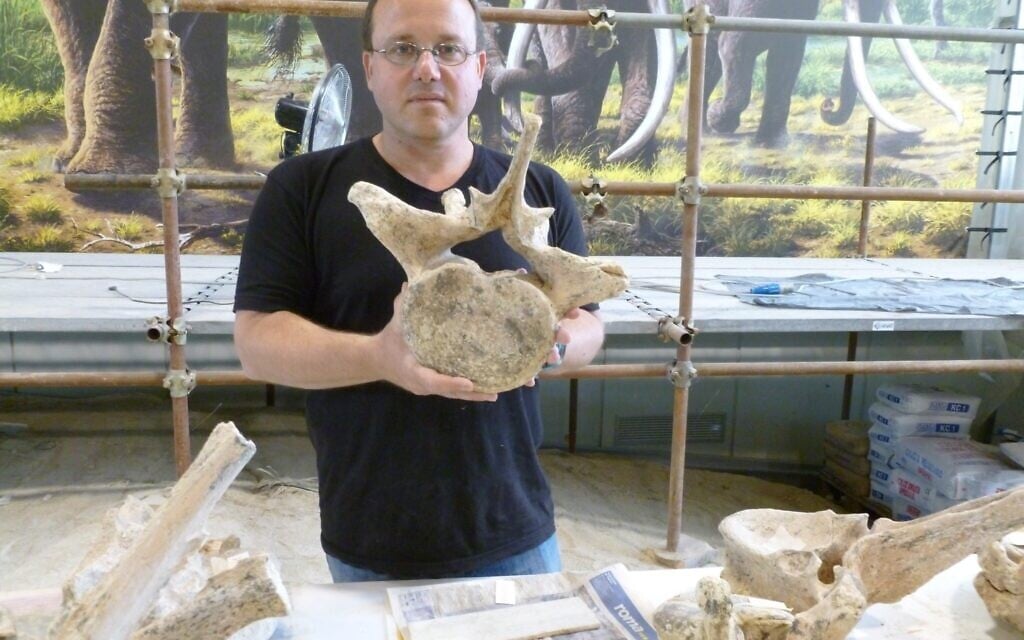 Prehistoric elephant jerky? Early humans preserved megafauna meat in a smokehouse