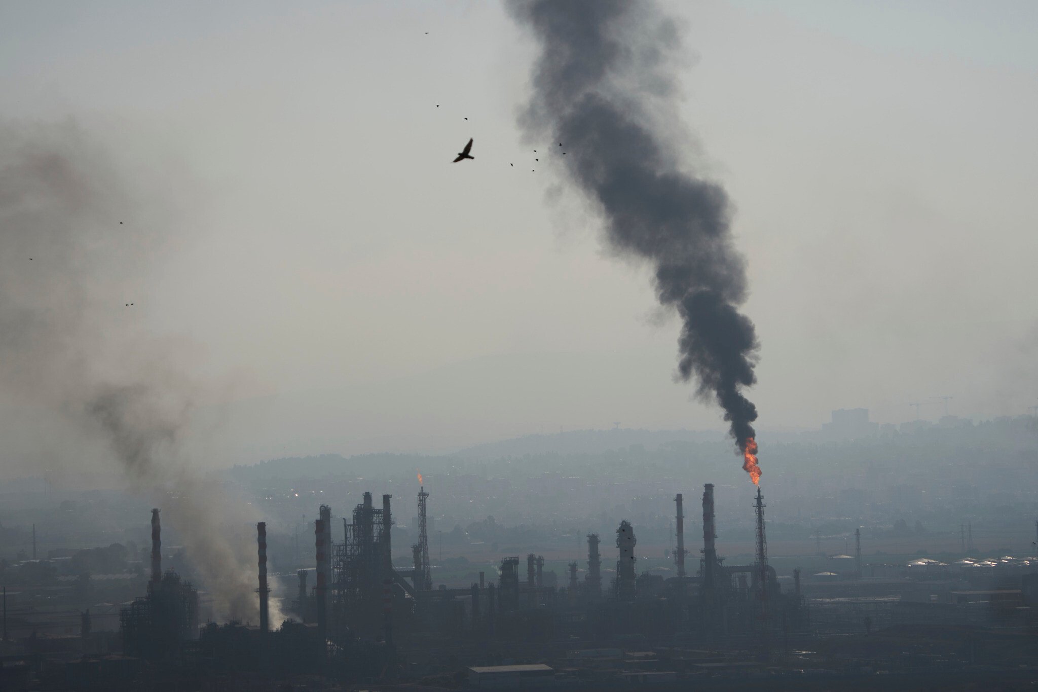 All facilities at Haifa oil refinery shut down after deadly Iran missile strike