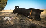 The remains of a ballistic missile fired from Iran into the Golan Heights, northern Israel, June 23, 2025. (Michael Giladi/Flash90)