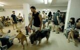 A Public Bomb Shelter in Tel Aviv (Yossi Zamir)