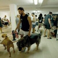 A Public Bomb Shelter in Tel Aviv (Yossi Zamir)