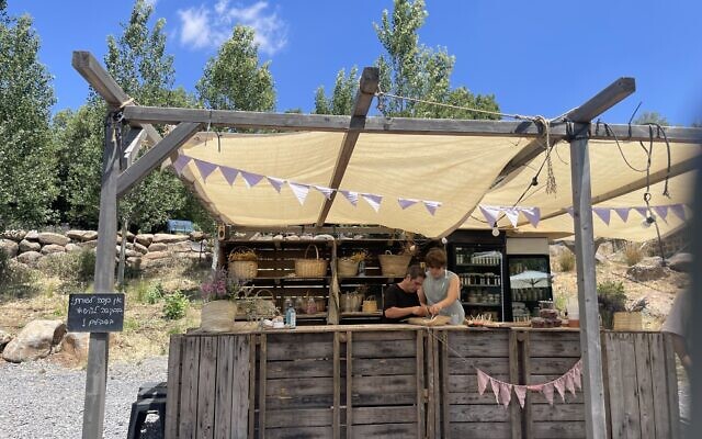 Serving up lavender ice cream at Sade Aromatics Farm summer pop-up on June 1, 2025 (Jessica Steinberg/Times of Israel)