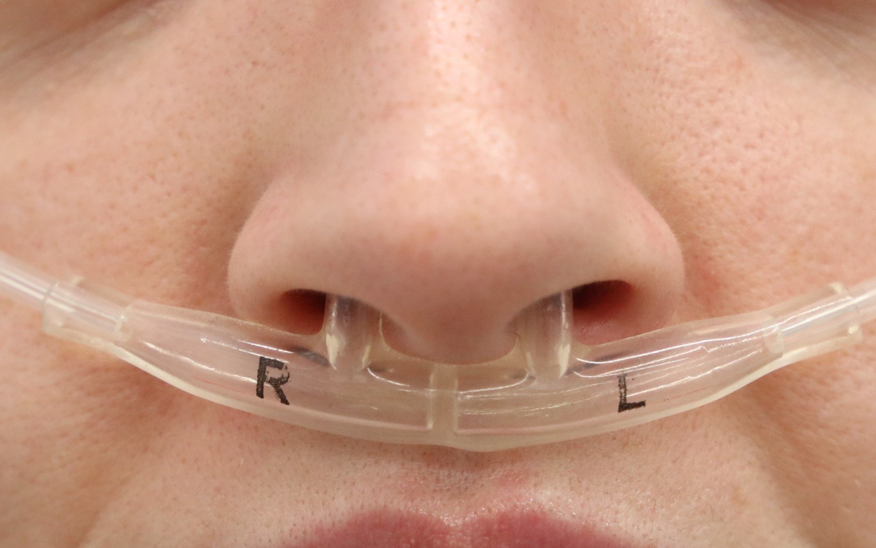 NextImg:The nose knows: Humans’ nasal breathing patterns are like fingerprints, Israeli scientists find