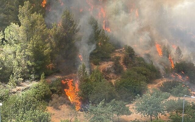 A brushfire spreads in a forest adjacent to Jerusalem's Ein Karem neighborhood on June 9, 2025. (Adi Shitrit/Fire and Rescue Service) A brushfire spreads in a forest adjacent to Jerusalem's Ein Karem neighborhood on June 9, 2025. (Adi Shitrit/Fire and Rescue Service)