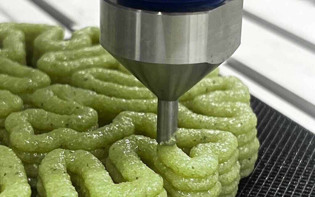 Microbes pave the way for a living, green alternative to cement in buildings
