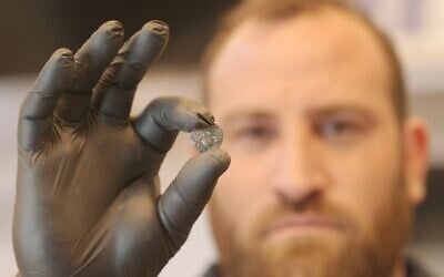 Yanniv David Levy, a researcher and curator in the Israel Antiquities Authority’s Coin Department, holds a bronze coin minted in the fourth year of the Jewish Great Revolt against the Romans (69-70 CE) found during excavations in the Jerusalem Archaeological Garden – Davidson Center in July 2025. (Emil Aladjem/Israel Antiquities Authority)