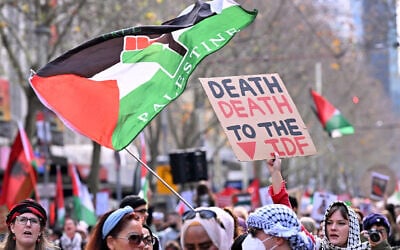 People hold placards and wave flags during an anti-Israel, pro-Palestinian march through the streets of Melbourne on July 6, 2025 (William WEST / AFP)