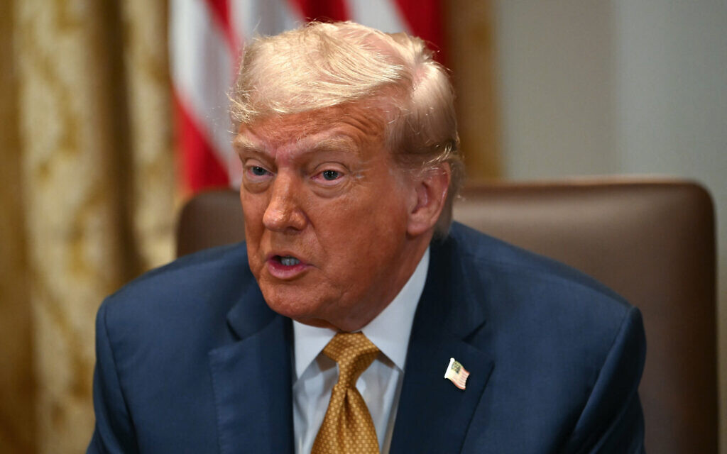 US President Donald Trump speaks during a cabinet meeting in the Cabinet Room of the White House in Washington, DC, on July 8, 2025. (Andrew Caballero-Reynolds/AFP)