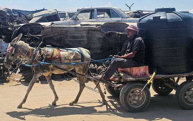 Palestinians use an animal-drawn cart for transportation, as dilapidated cars are piled up in a junkyard in the Mawasi area of Rafah, due to the scarcity of fuel in the Gaza Strip on July 20, 2025. (AFP)