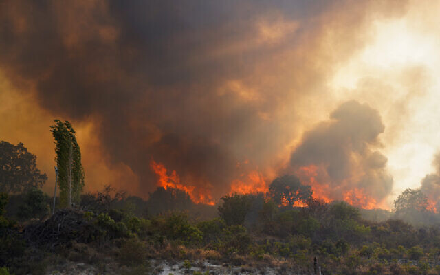 Smoke fills the air as a forest fire rages near the Cypriot village of Omodos, in the Limassol province, on July 24, 2025. (Etienne TORBEY / AFP) Smoke fills the air as a forest fire rages near the Cypriot village of Omodos, in the Limassol province, on July 24, 2025. (Etienne TORBEY / AFP)