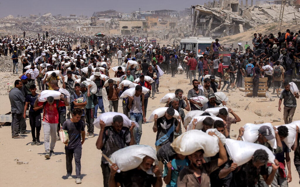 IDF announces 10-hour Gaza ‘humanitarian pauses’ amid mounting famine concerns