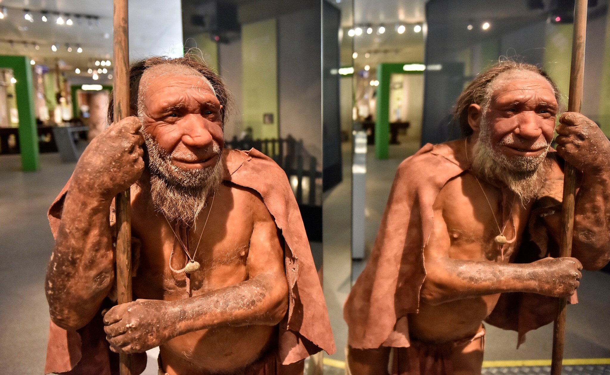 Study shows Neanderthal neighbors split on how to butcher, cooking up caveman culture