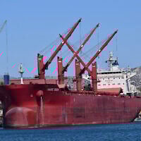 The Liberian-flagged bulk carrier Magic Seas is seen in Ambelakia Bay, Salamis Island, Greece, August 9, 2022. (Nektarios Papadakis via AP/File)