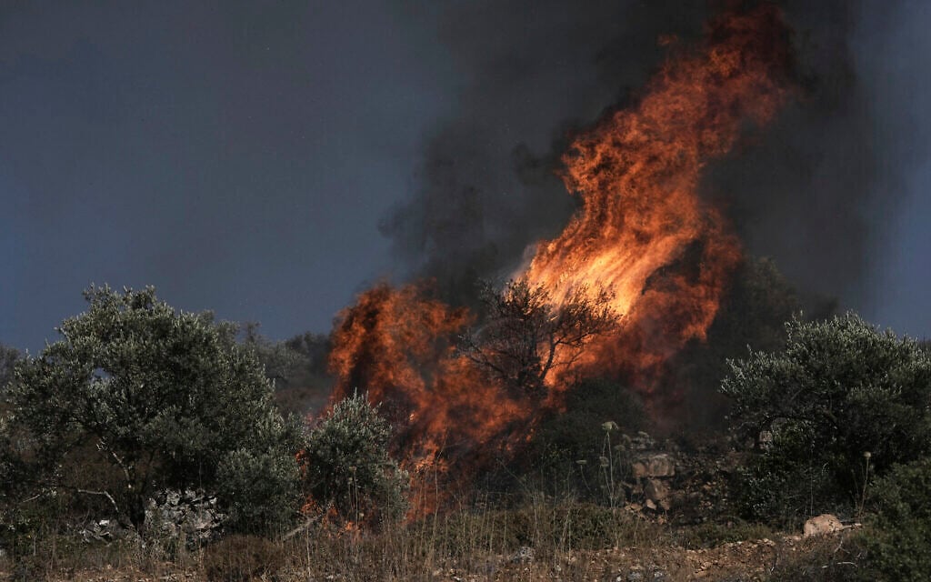An olive tree burns in a Palestinian village near the West Bank town of Sinjil, Friday, July 11, 2025. (AP/Maya Alleruzzo)