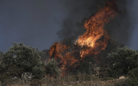 An olive tree burns in a Palestinian village near the West Bank town of Sinjil, Friday, July 11, 2025. (AP Photo/Maya Alleruzzo)