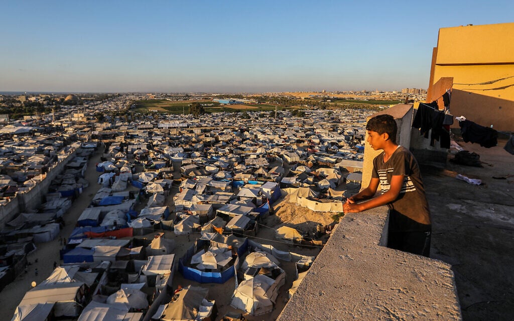 Gazans reject Trump’s displacement plan despite destruction: ‘This is our land’