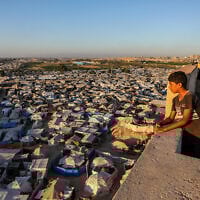 Illustrative: A boy looks over a Palestinian tent city in the al-Mawasi area in Khan Younis, in the southern Gaza Strip, July 6, 2025. (Abed Rahim Khatib/Flash90)