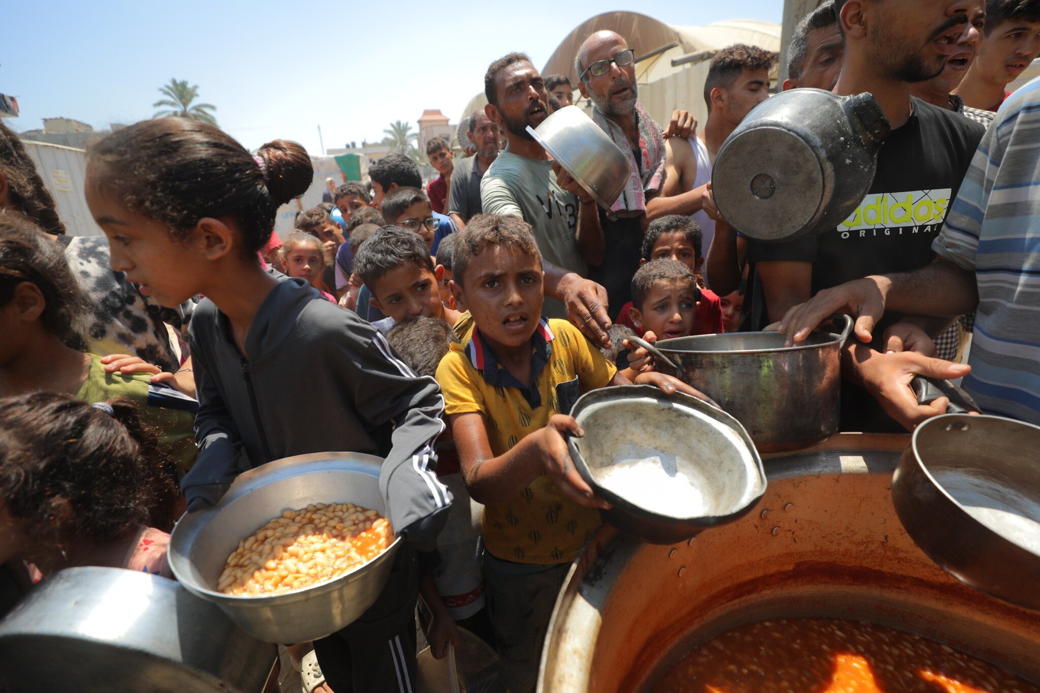 NextImg:Experts say Gaza at ‘worst-case scenario,’ famine about to cause ‘widespread death’