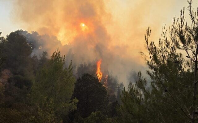 A fire rages in the Jerusalem hills, on July 16, 2025. (KKL-JNF)