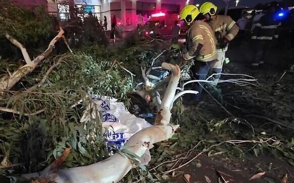 Man crushed to death by falling tree branch at hospital in central Israel