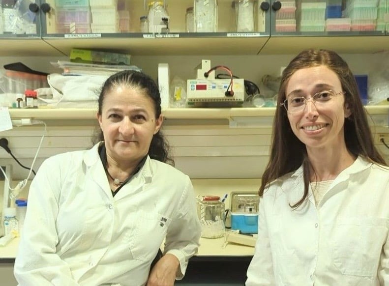 Using novel method to compare subgroups, Israeli researchers unlock bacteria’s secrets