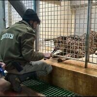 Uriel Nuri feeding an animal at the Jerusalem Zoo. (Facebook)