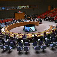 Palestinian Authority UN envoy Riyad Mansour (C) speaks during a United Nations Security Council meeting on the conflict in the Middle East, at the United Nations headquarters in New York on August 5, 2025. (ANGELA WEISS / AFP)
