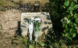 This photograph shows a memorial stele and the trunk of the olive tree, presumably cut down with a chainsaw, which was planted in 2011 in front of a memorial to Ilan Halimi, whose murder caused widespread shock in France, photo taken August 15, 2025. (Dimitar Dilkoff/AFP)