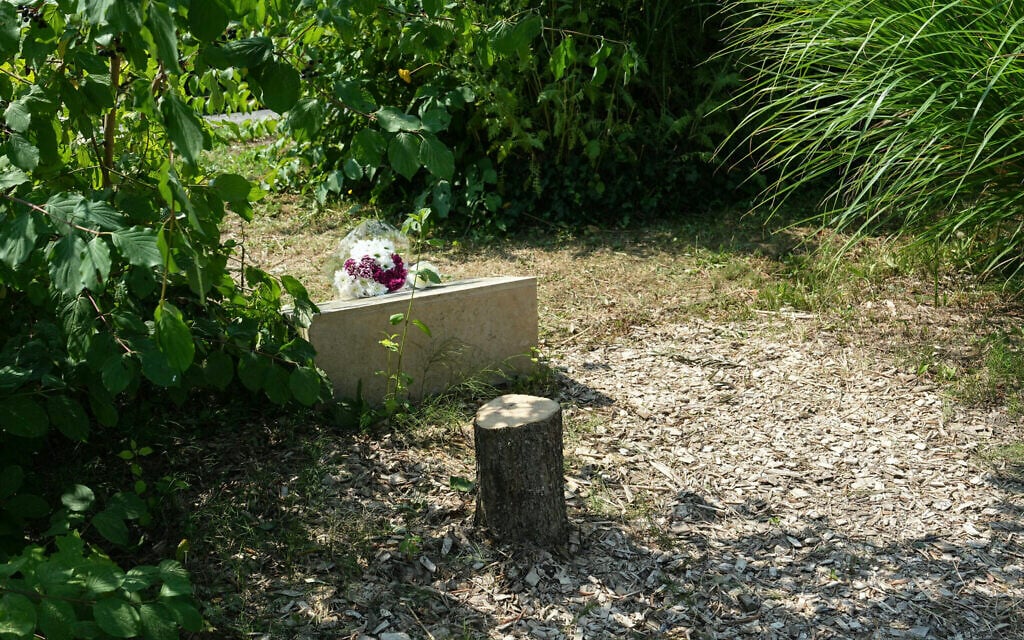 Brothers arrested for felling tree at memorial to murdered French Jewish man