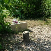 This photograph shows the trunk of the olive tree, presumably cut down with a chainsaw, which was planted in 2011 in front of a memorial to Ilan Halimi, in Epinay-sur-Seine, on the outskirst of Paris on August 15, 2025. (Dimitar DILKOFF / AFP)