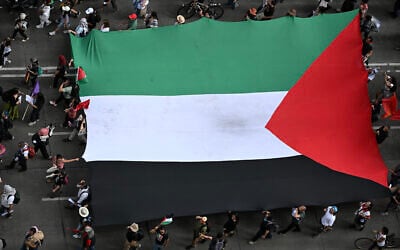 Members of the Global Movement for Palestine wave a giant Palestine flag during a rally against Israel and the ongoing food shortages in the Gaza Strip, in Mexico City on August 17, 2025. (Yuri CORTEZ / AFP)