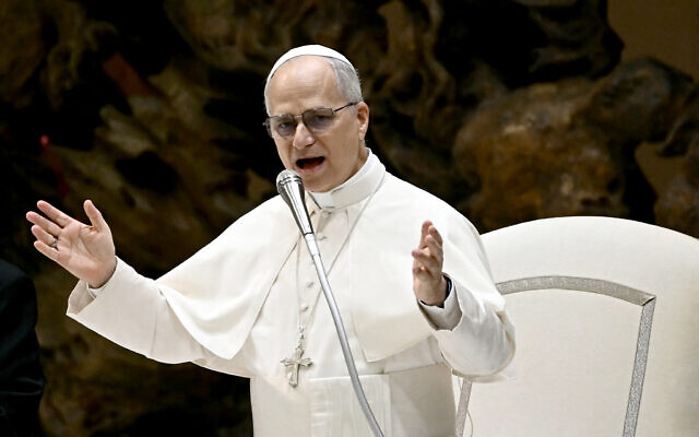 Pope Leo XIV speaks during his general audience in the Paul VI Hall in the Vatican on August 27, 2025. (Filippo MONTEFORTE / AFP)