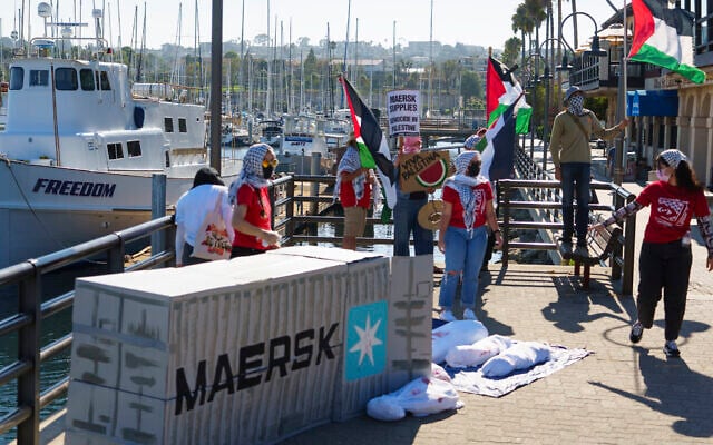 Illustrative: Members of the Palestinian Youth Movement pull effigies out of a shipping container during a protest against the shipping and logistics giant Maersk for doing business with Israel on August 28, 2024, at the Port of Los Angeles. (AP Photo/Damian Dovarganes) Illustrative: Members of the Palestinian Youth Movement pull effigies out of a shipping container during a protest against the shipping and logistics giant Maersk for doing business with Israel on August 28, 2024, at the Port of Los Angeles. (AP Photo/Damian Dovarganes)