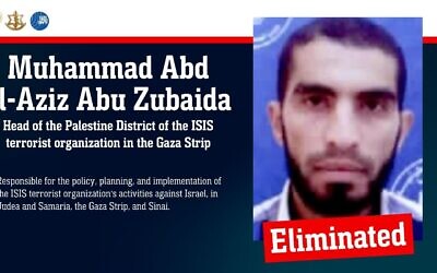 IDF graphic on Muhammad Abd al-Aziz Abu Zubaida. (IDF)