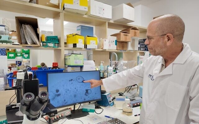 Prof. Benjamin Dekel, Director of the pediatric nephrology unit and the Stem Cell Research Institute at the Safra Children's Hospital at Sheba Medical Center and Director of the Sagol Center for Regenerative Medicine at Tel Aviv University. (Courtesy/Sheba Medical Center)