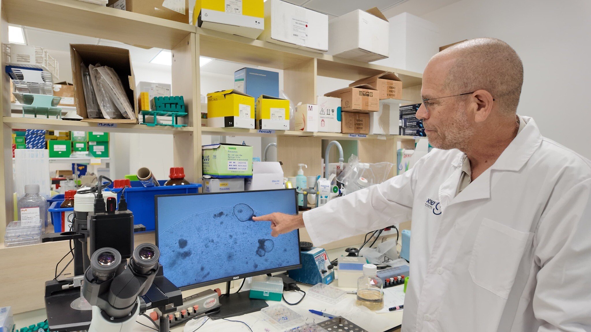 NextImg:In a world breakthrough, Israeli researchers grow first long-term human kidney in lab