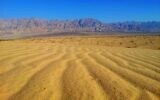 The railway lines could cross the Samar Sands Nature Reserve in southern Israel. (Dov Greenblat, Society for the Protection of Nature in Israel)