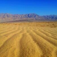 The railway lines could cross the Samar Sands Nature Reserve in southern Israel. (Dov Greenblat, Society for the Protection of Nature in Israel)