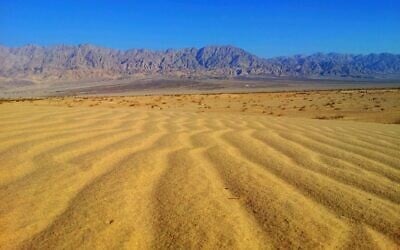 The railway lines could cross the Samar Sands Nature Reserve in southern Israel. (Dov Greenblat, Society for the Protection of Nature in Israel)