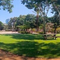 A large area of synthetic grass at the Meir Park in Tel Aviv. (Adam Teva V'Din)